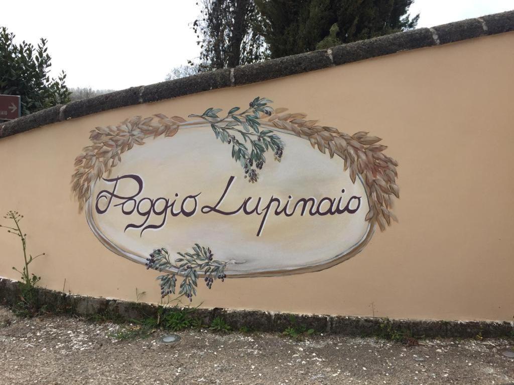 Podere Poggio Lupinaio San Martino sul Fiora Buitenkant foto