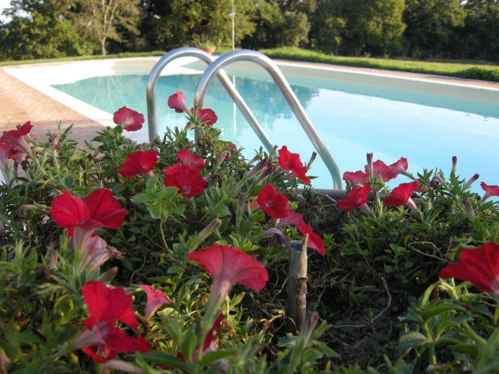 Podere Poggio Lupinaio San Martino sul Fiora Kamer foto